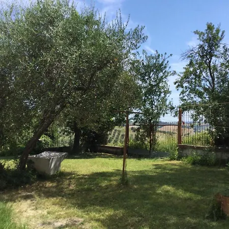 Oak Tree Montefelcino