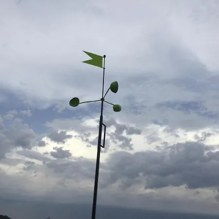 Oak Tree * Montefelcino