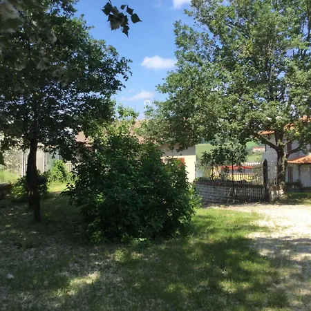Apartment Oak Tree