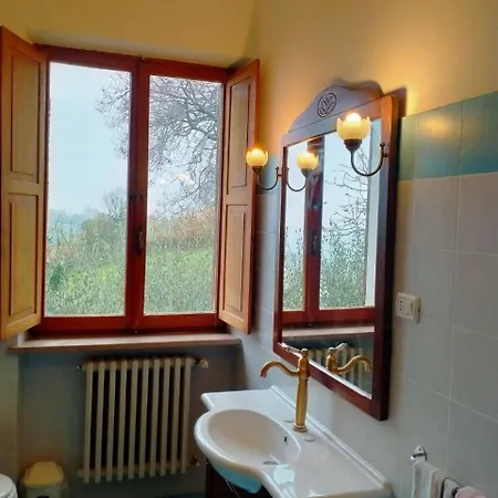 Oak Tree Montefelcino