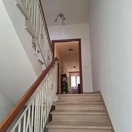 Oak Tree Montefelcino