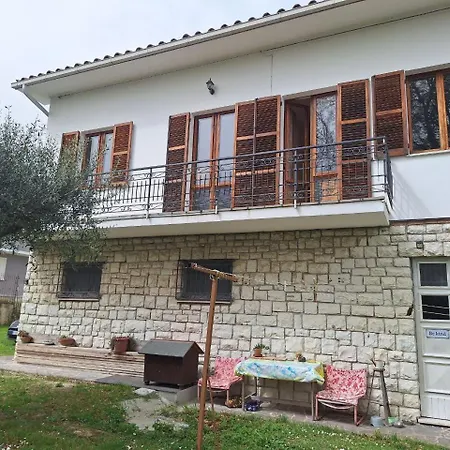 Oak Tree * Montefelcino