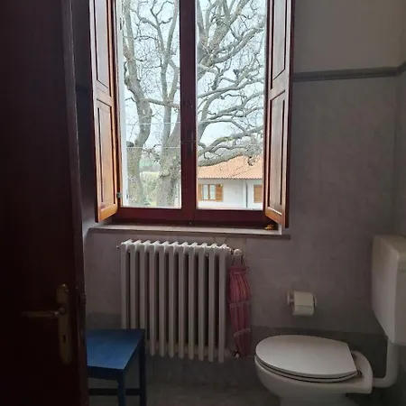 Apartment Oak Tree *