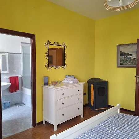 Oak Tree Montefelcino