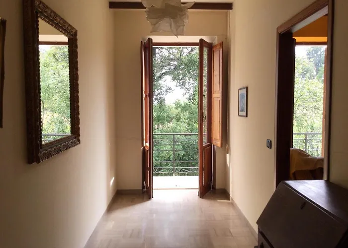 Oak Tree * Montefelcino