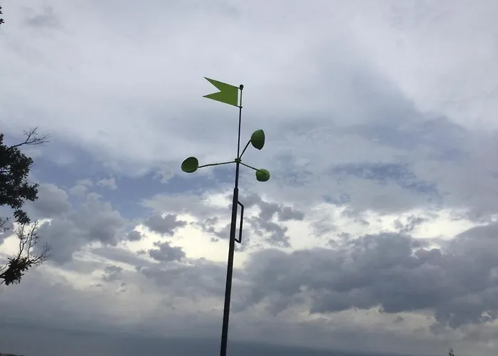 Oak Tree * Montefelcino