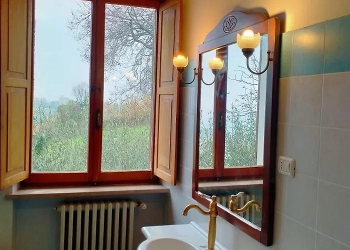 Oak Tree Montefelcino