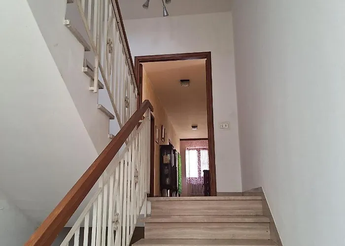 Oak Tree Montefelcino