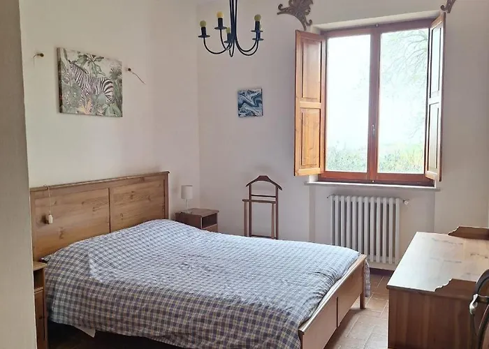 Oak Tree Montefelcino