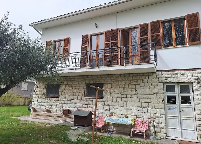 Oak Tree * Montefelcino