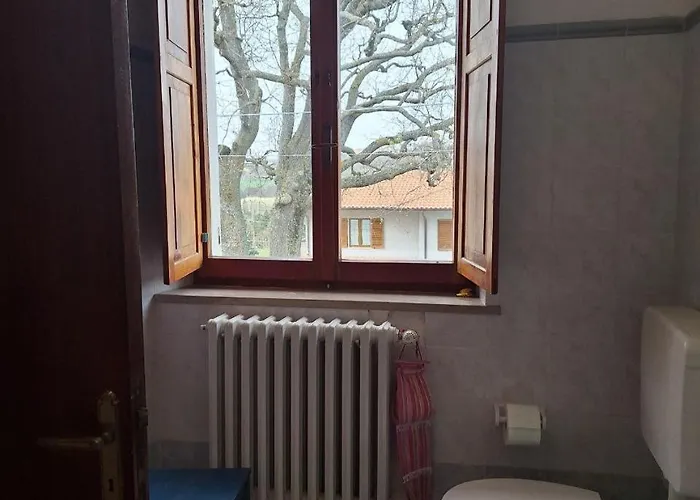 Apartment Oak Tree *