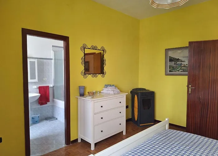 Oak Tree Montefelcino