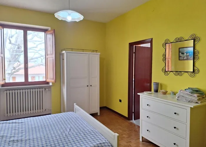 Oak Tree * Montefelcino